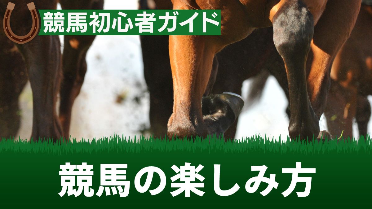 競馬の楽しみ方を初心者向けに解説！女子でも全力で楽しめるコツ