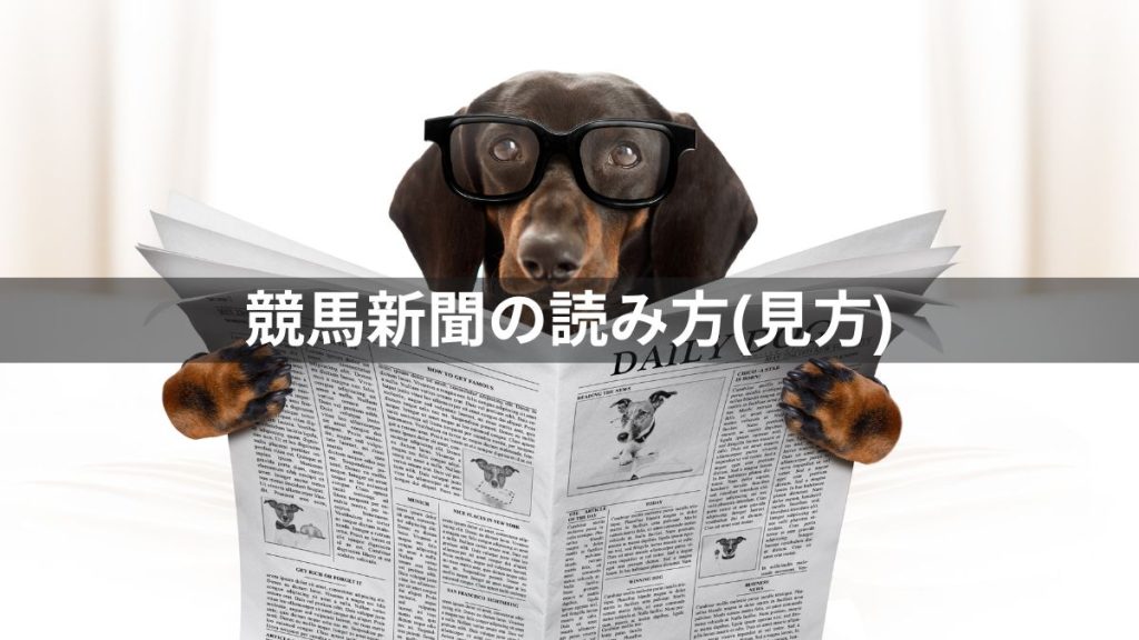 競馬新聞の読み方(見方)