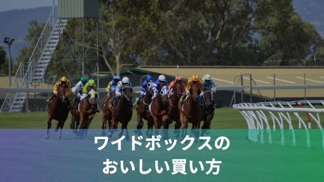 競馬のワイドボックスのおいしい買い方4選