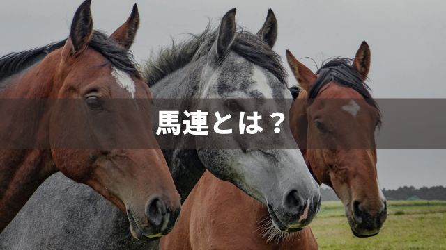 競馬の馬連とはどんな馬券？