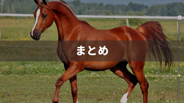 まとめ：中央競馬のネット購入は「即PAT」に登録＋「netkeiba.com」で購入