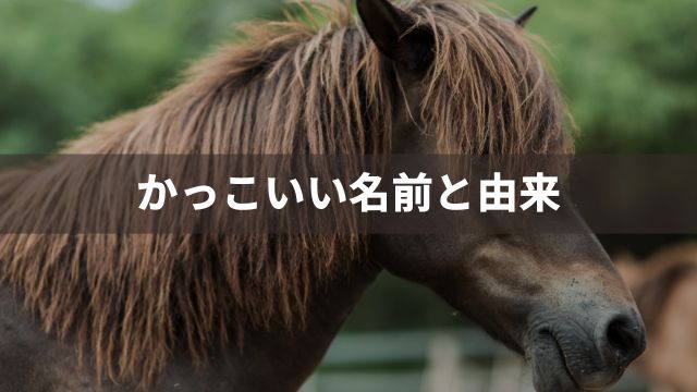 競馬のかっこいい名前と由来