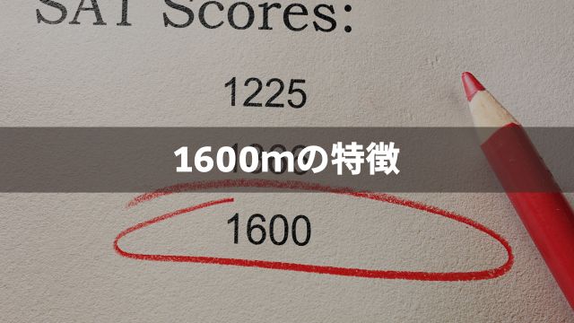 【川崎競馬】1600ｍの特徴