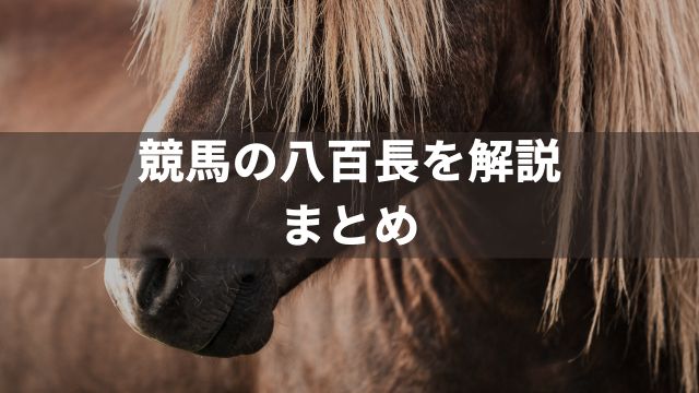 競馬の八百長を解説：まとめ