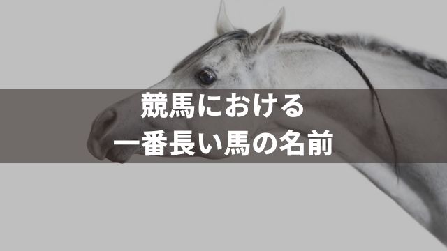 競馬における一番長い馬の名前