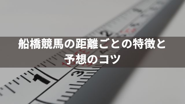 船橋競馬の距離ごとの特徴と予想のコツ