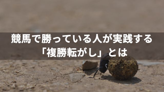 競馬で勝っている人が実践する「複勝転がし」とは