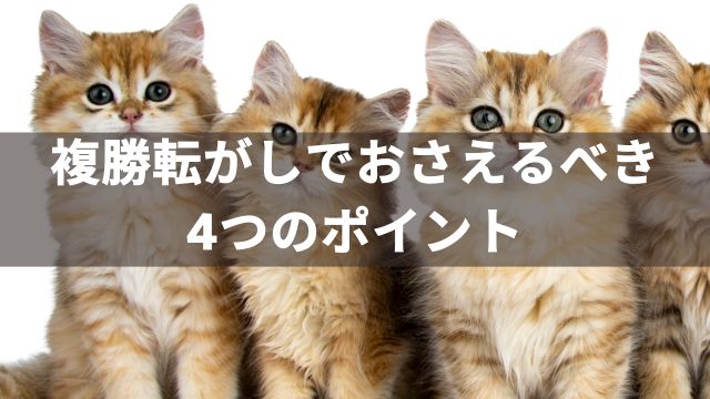 複勝転がしでおさえるべき4つのポイント