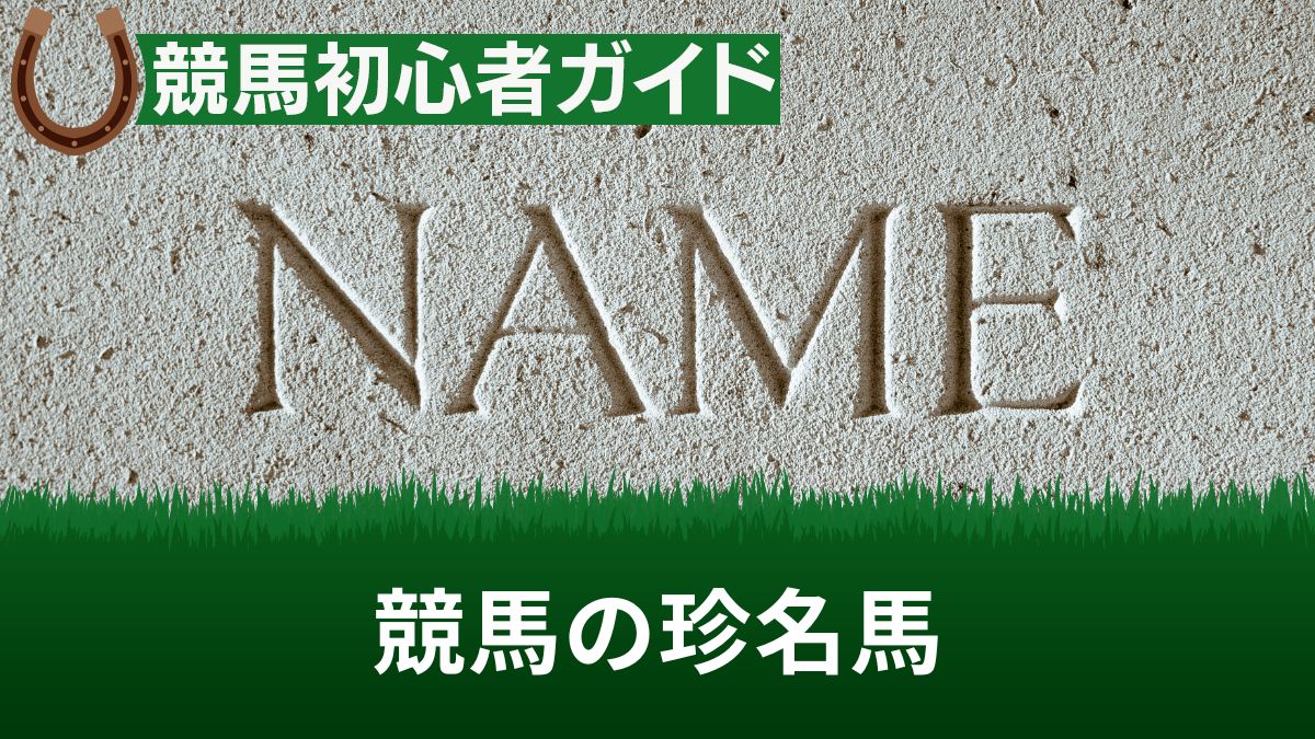 競馬の面白い・かっこいい・かわいい名前一覧！由来や文字数ルールも解説