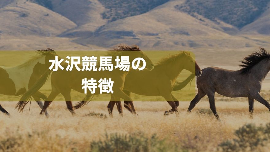 水沢競馬場の特徴