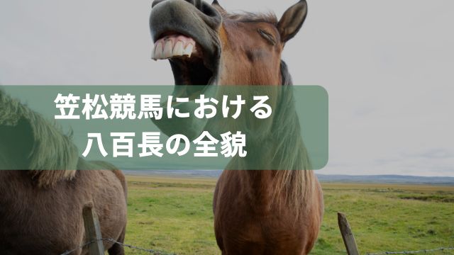 笠松競馬における八百長の全貌