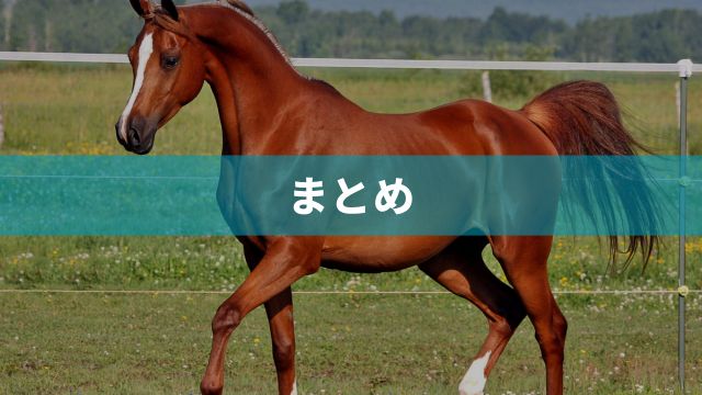 まとめ：姫路競馬の特徴