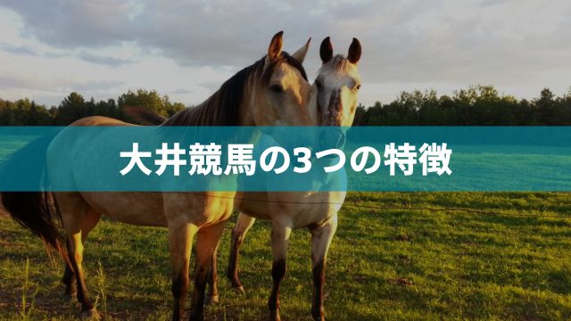 大井競馬の4つの特徴