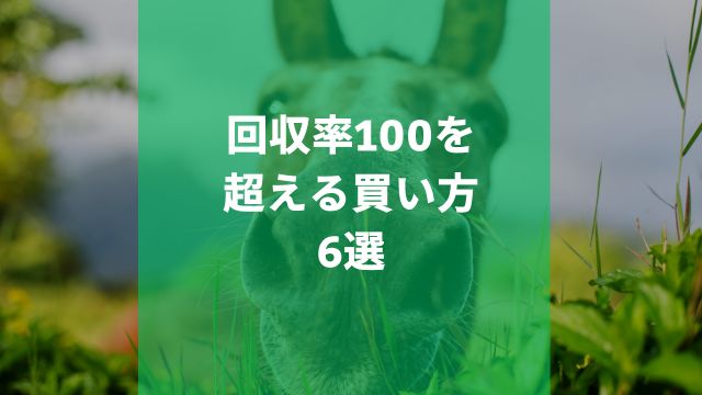 競馬初心者必見！回収率100を超える買い方6選