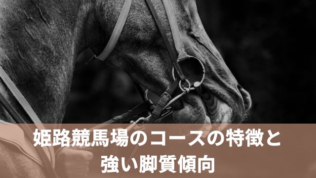 姫路競馬場のコースの特徴と強い脚質傾向を解説