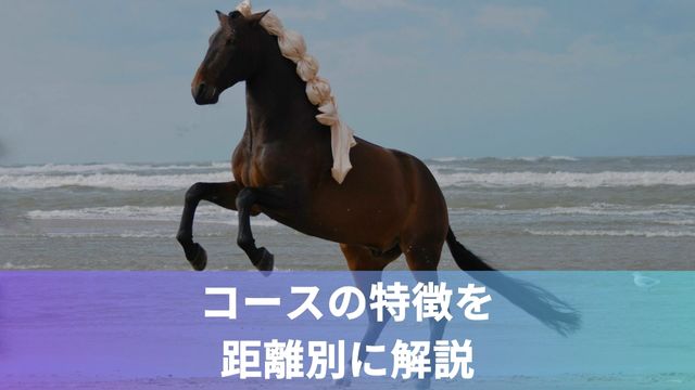 高知競馬のコースの特徴を距離別に解説