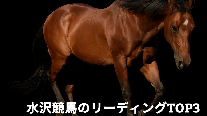 水沢競馬の上手い騎手！リーディングTOP3