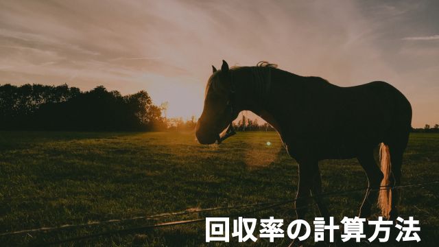 競馬における回収率の計算方法