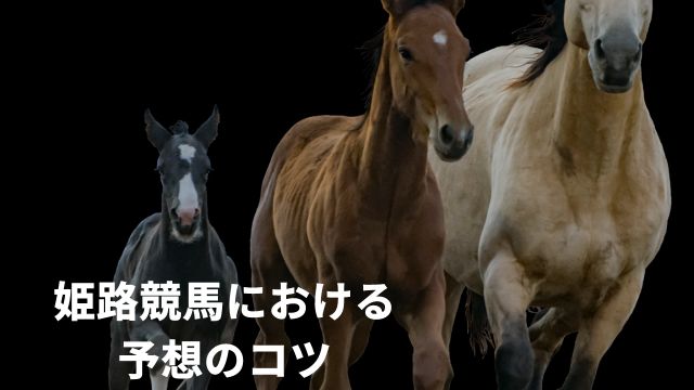 姫路競馬は当たらない？予想のコツを解説