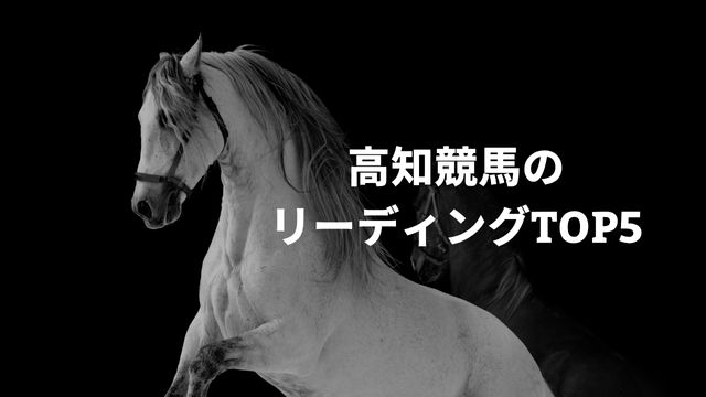 高知競馬の上手い騎手は？リーディングTOP5