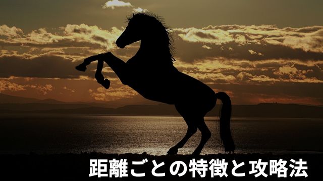 笠松競馬場の距離ごとの特徴と攻略法