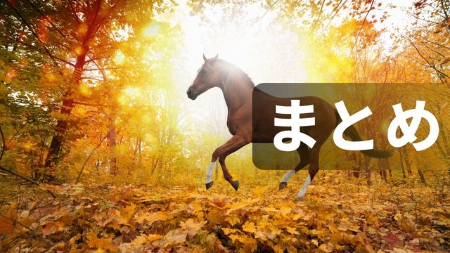 門別競馬の特徴：まとめ