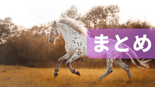 競馬のブックメーカー：まとめ