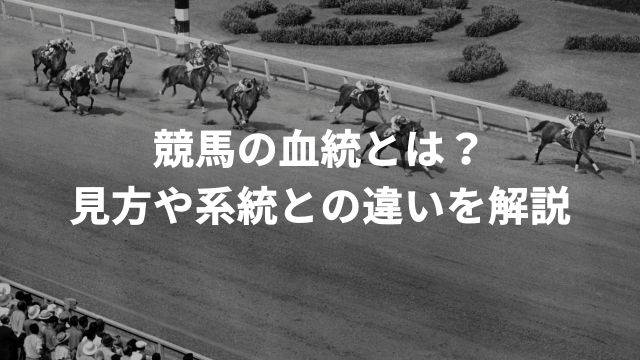 競馬の血統とは？見方や系統との違いを解説