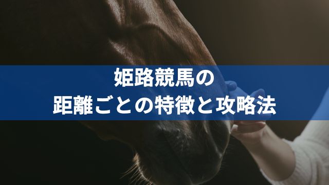 姫路競馬の距離ごとの特徴と攻略法