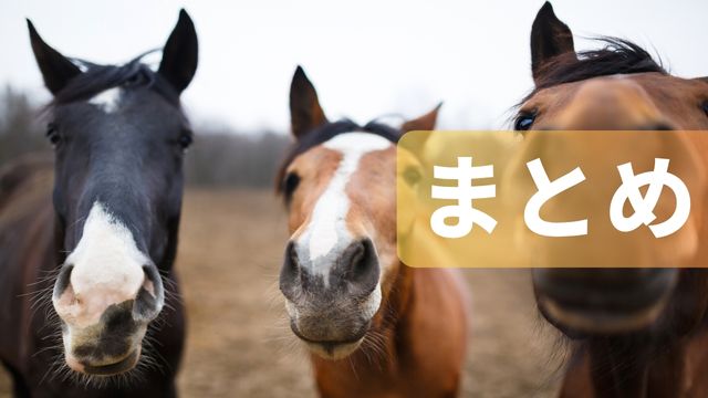 競馬における有名馬ランキング：まとめ