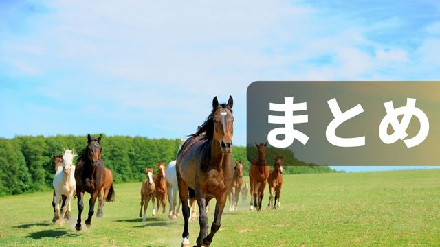 まとめ：高知競馬の特徴と傾向・攻略法