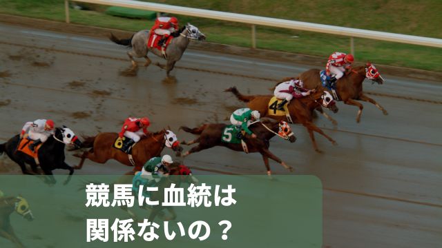 競馬に血統は関係ないの？