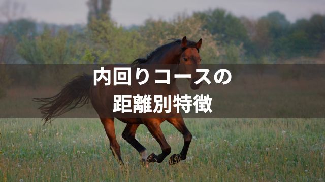 大井競馬における内回りコースの特徴