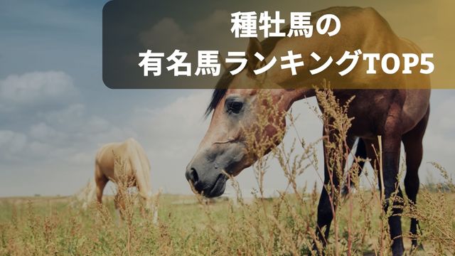 競馬における種牡馬の有名馬ランキングTOP5