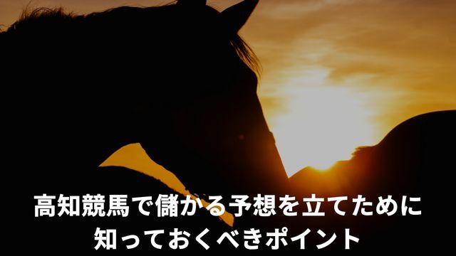 高知競馬で儲かる予想を立てために知っておくべきポイント