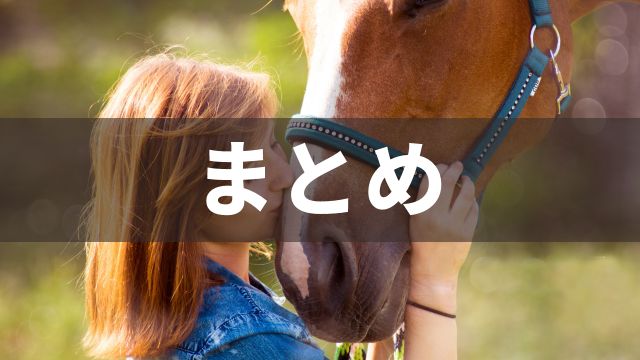 大井競馬の特徴：まとめ