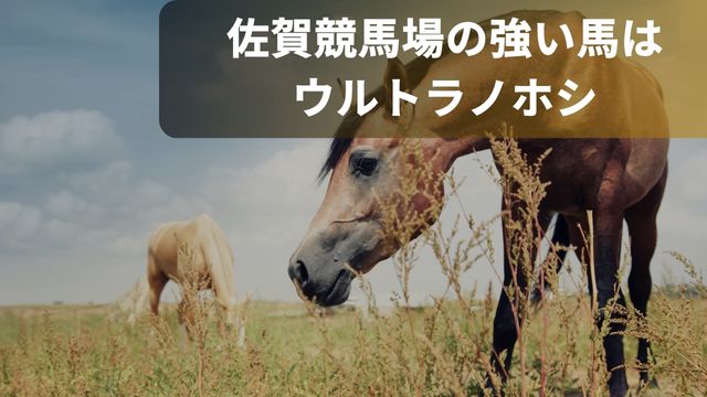 佐賀競馬場の強い馬はウルトラノホシ