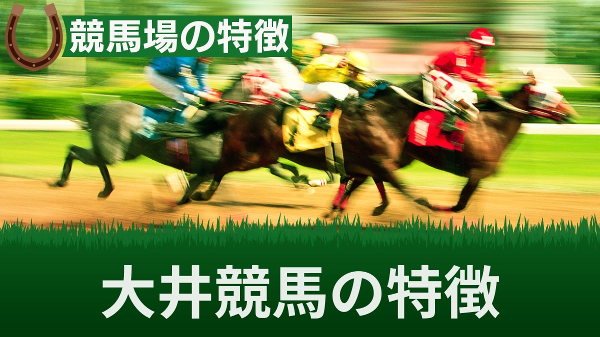 大井競馬のコース特徴と傾向を解説！強い騎手を探して荒れるレースを攻略しよう