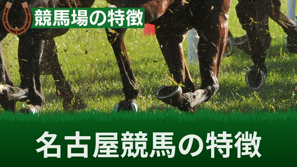 名古屋競馬のコース・騎手の特徴や傾向は？予想方法と上手な馬券の買い方を徹底解説