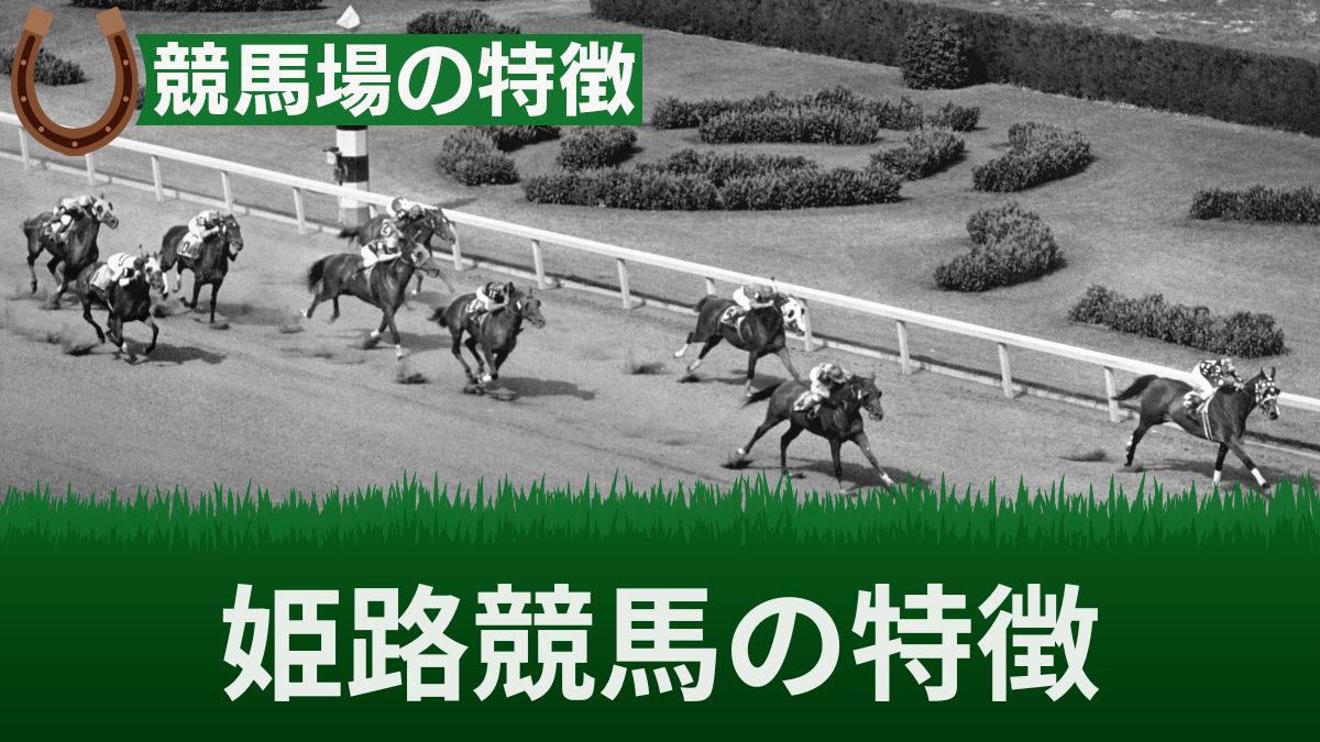 姫路競馬のコースの特徴や傾向・予想に役立つ攻略法を解説【騎手ランキングあり】