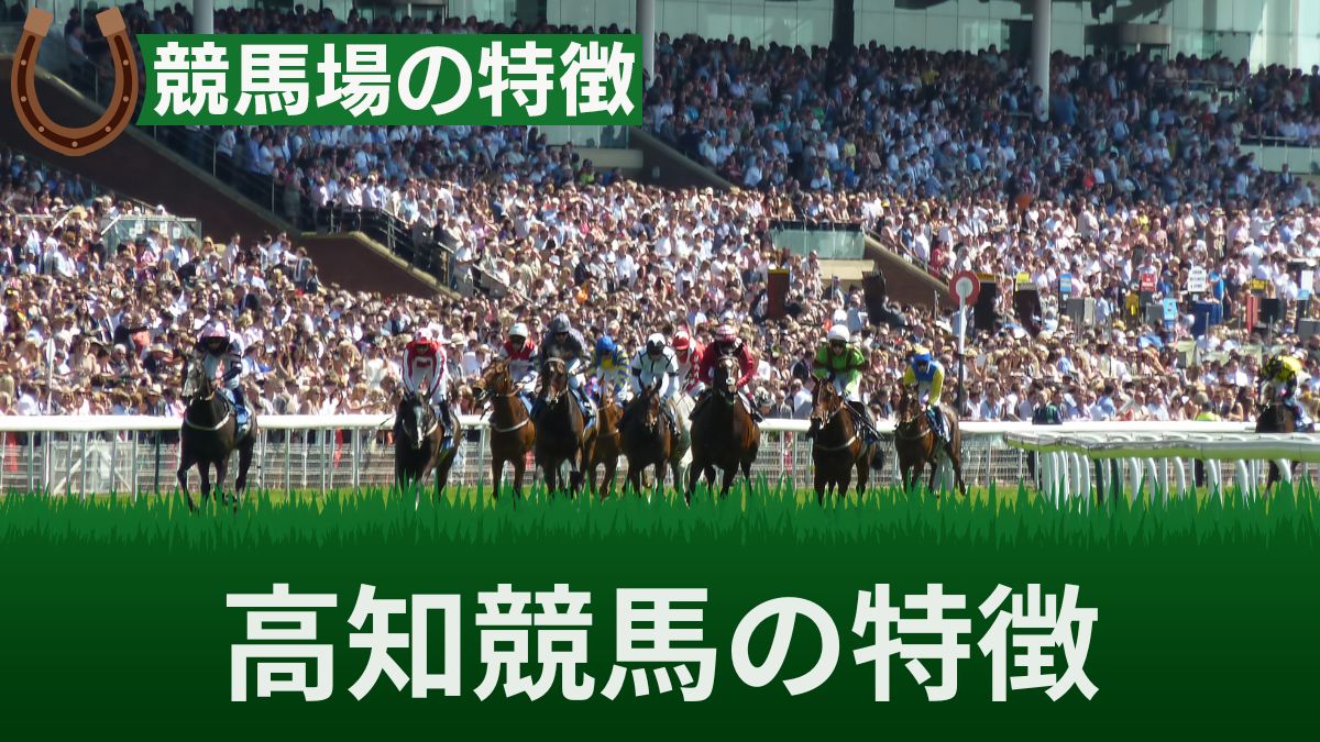 高知競馬のコースや距離の特徴と傾向！上手い騎手や儲かる予想方法も解説