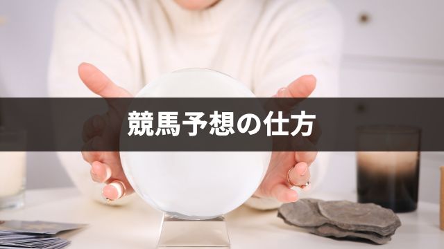 競馬予想の仕方(やり方)を初心者向けに解説