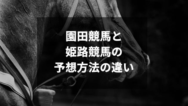 園田競馬と姫路競馬の予想方法の違い