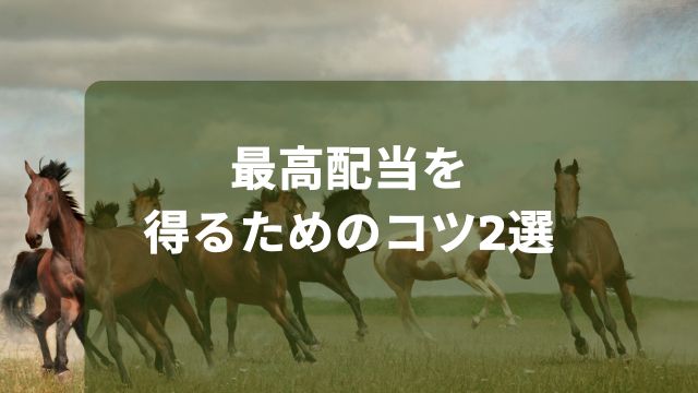 競馬で最高配当を得るためのコツ2選