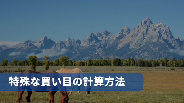 競馬の特殊な買い目の計算方法