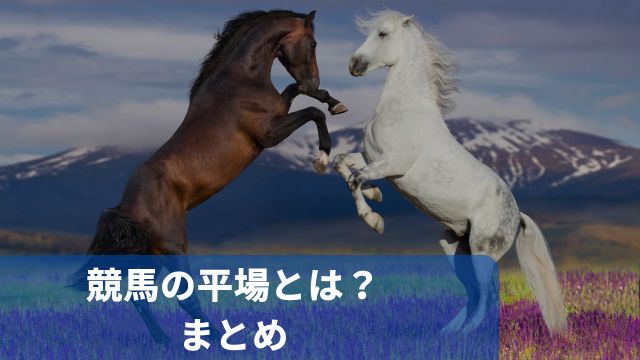 競馬の平場とは？まとめ