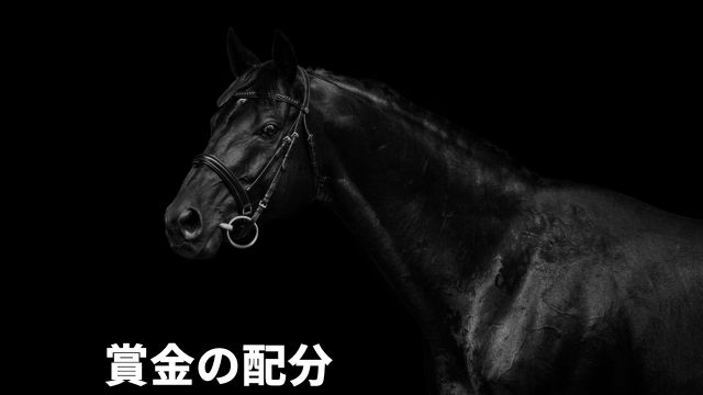 競馬における賞金の配分