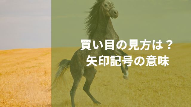 競馬の買い目の見方は？矢印記号の意味を解説