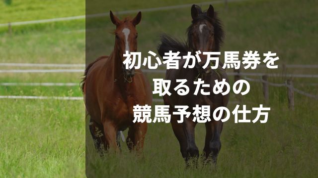 初心者が万馬券を取るための競馬予想の仕方