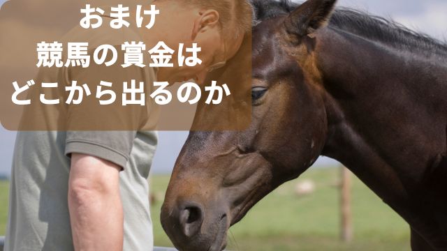 おまけ：競馬の賞金はどこから出るのか